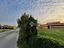 Immagine 12