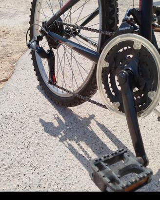 MTB 24 pollici 