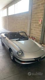 ALFA ROMEO SPIDER