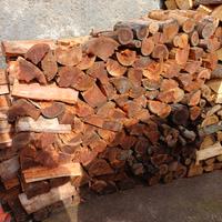 legna da ardere di eucaliptus