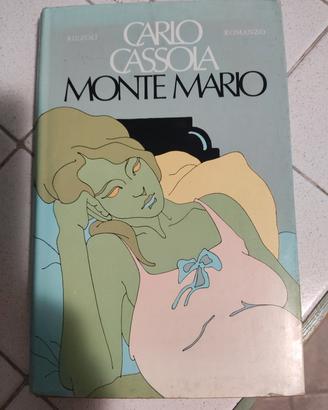 Monte Mario libro