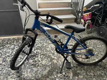 Bicicletta Olmo