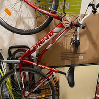 Atala Boston da passeggio !!