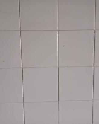 piastrelle bianco lucido