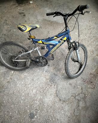 Bicicletta per bambino 
