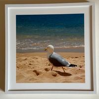 Collezione 6 quadri 21x21