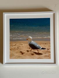 Collezione 6 quadri 21x21