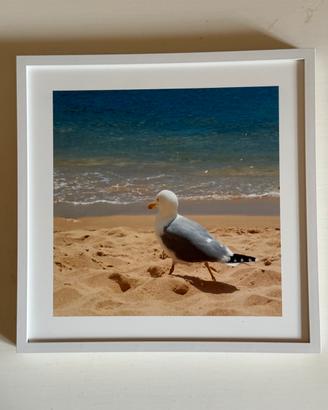 Collezione 6 foto 21x21 incorniciate