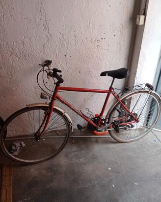 bicicletta uomo 