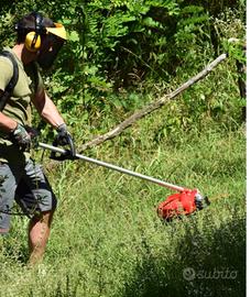  piante, gemme per innesti, spazi verdi