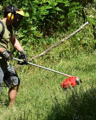  piante, gemme per innesti, spazi verdi