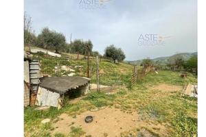 Appartamento Artena [A4320000]