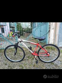 Mountain Bike Bottecchia FX 500