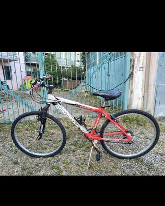 Mountain Bike Bottecchia FX 500