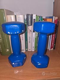 Mamubri/pesi 3KG