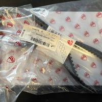 Coppia cinghie distribuzione Ducati 73740121B