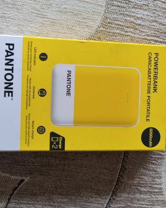 Powerbank Pantone 