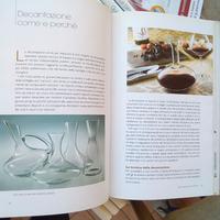 Collana " I grandi libri sul vino"