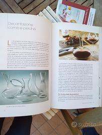 Collana " I grandi libri sul vino"