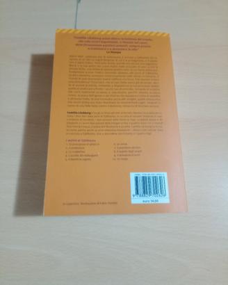 La strega i delitti di Fjällbacka v10