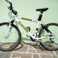 Mountain bike mtb