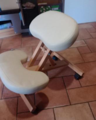 segia ergonomica comprata a Leroy Merlin
