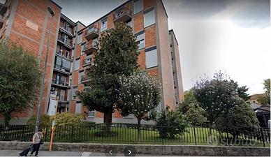 Ampio bilocale monza zona cederna