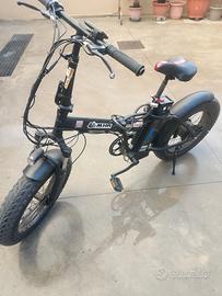 bicicletta elettrica 