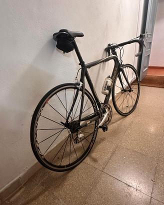 BICI WILIER TRIESTIA