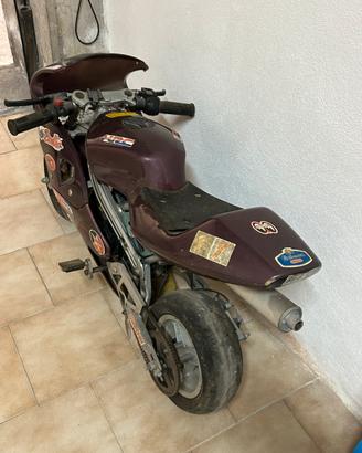 Minimoto