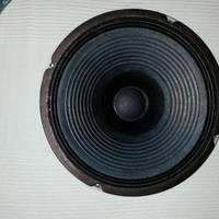 Altoparlanti 2 Largabanda Electrovoice MC12A