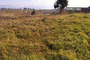 Terreno edificabile valle martella lotto 1000 mq