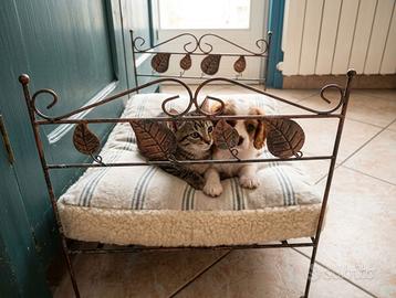 Sponde in RAME cuccia lettino gatto o cagnolino