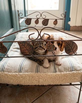 Sponde in RAME cuccia lettino gatto o cagnolino