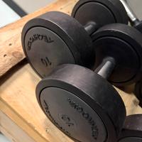 Coppia Manubri Technogym da 10 kg buoni