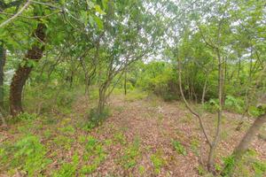 San martino del carso (go)