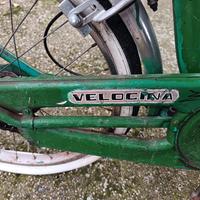 Graziella Velocina