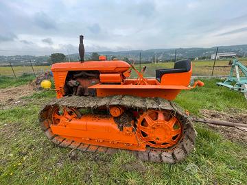 FIAT OM 50C Montagna