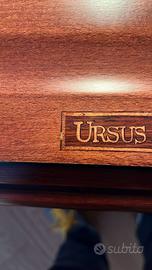 Biliardo Ursus