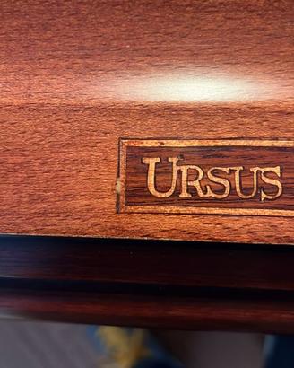 Biliardo Ursus
