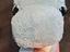 Immagine 5