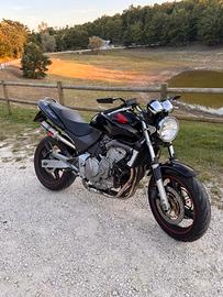 Honda Hornet
