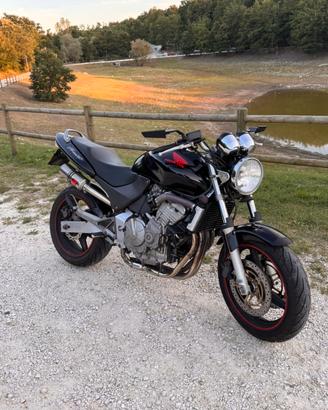 Honda Hornet