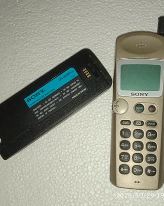 Sony vintage dual  band