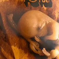 Battiato - Fetus  vinile 2009