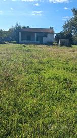 casa con terreno 