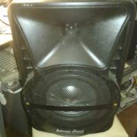 Casse amplificate con radio e lettore mp3 + mic +