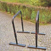 Parallele Domyos per Palestra