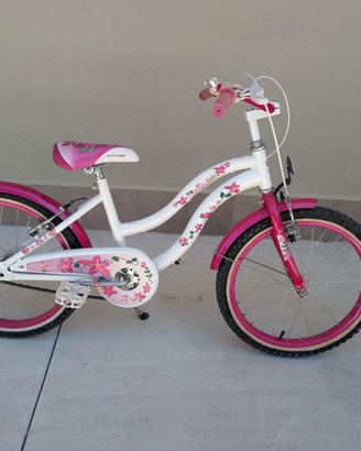 Bicicletta