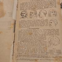 libro antico  Naturgeschichte